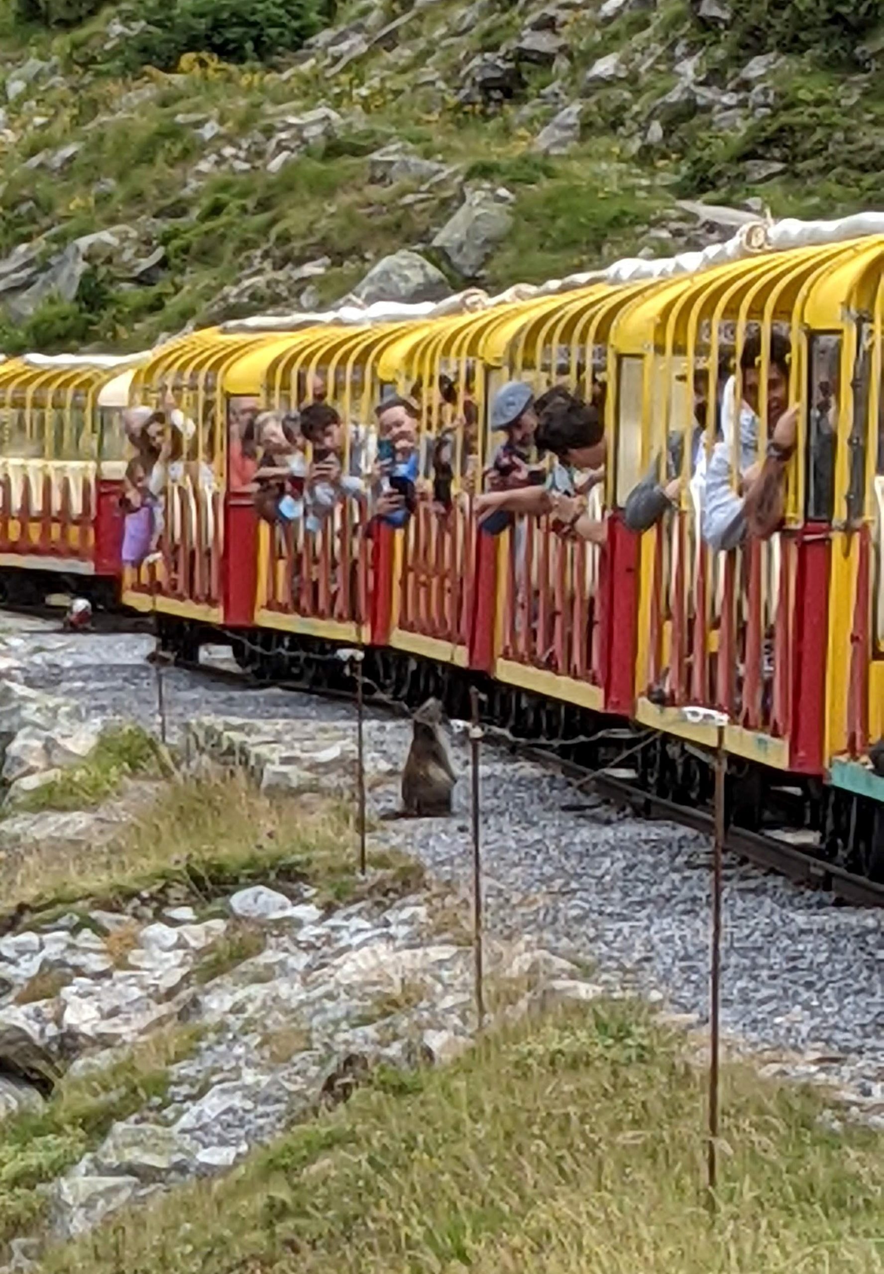 Le train d’Artouste